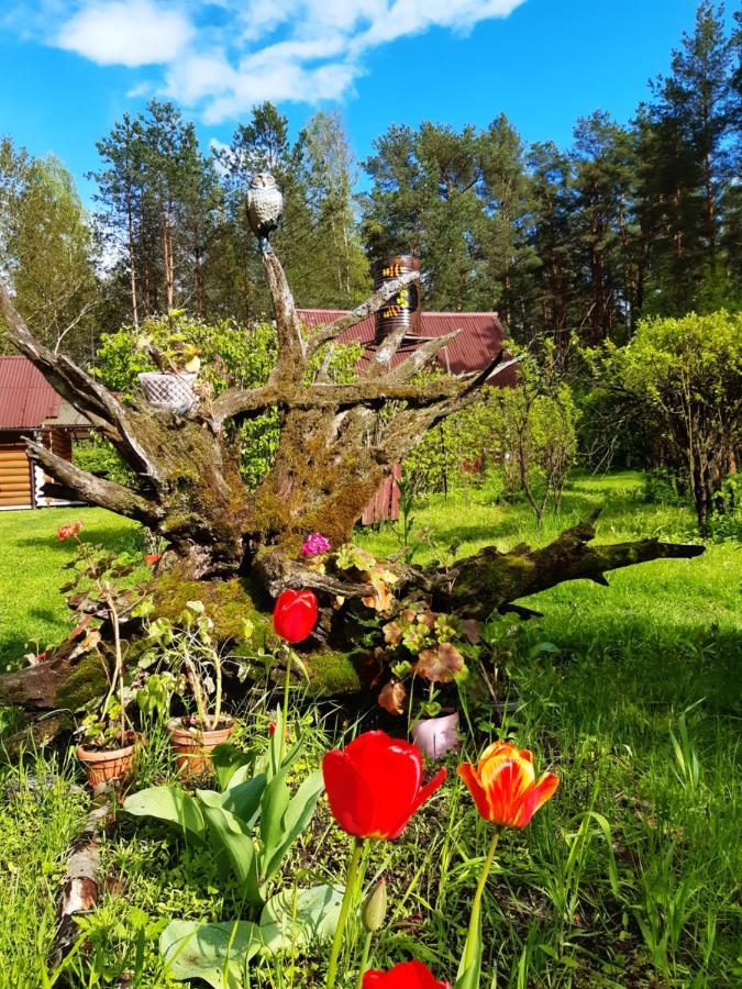 Naroch Guest House Zewnętrze zdjęcie