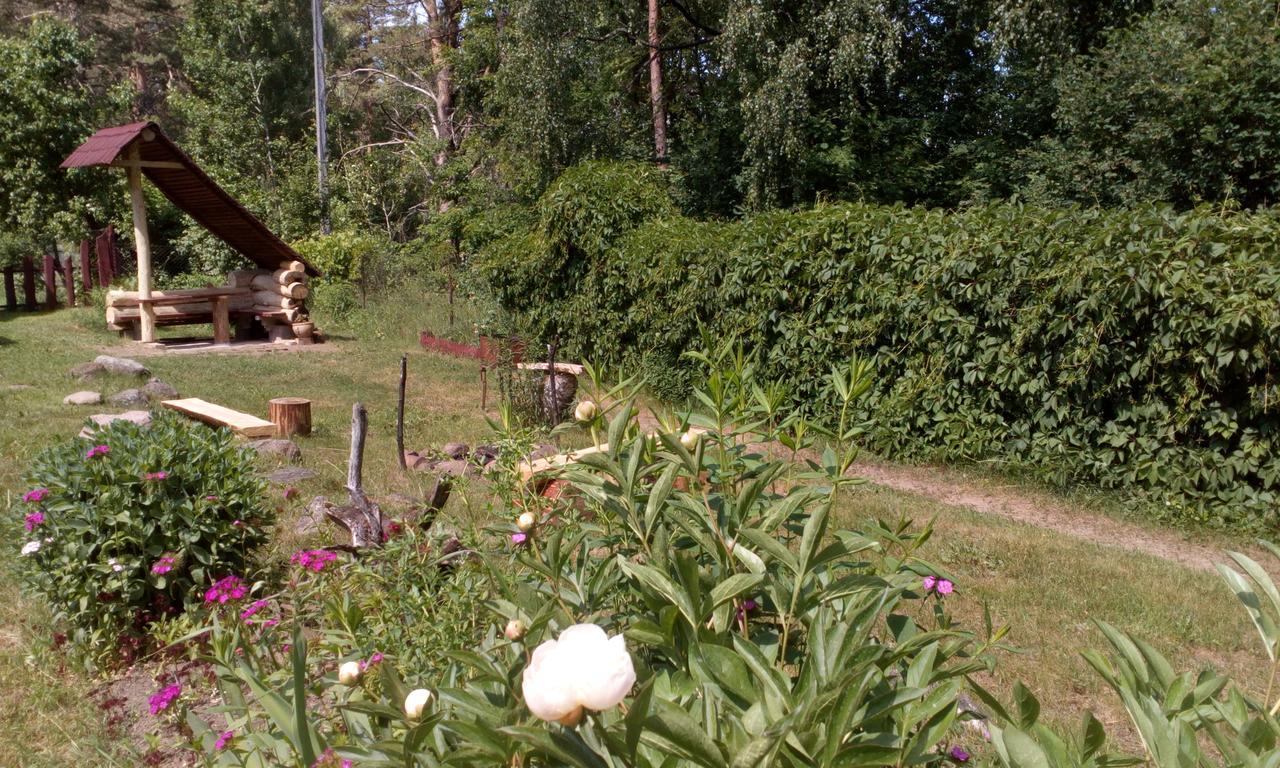 Naroch Guest House Zewnętrze zdjęcie